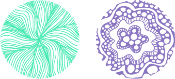 6o Foro Hispanoamericano de Periodismo Científico